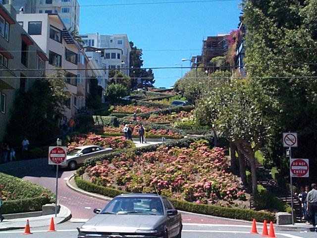 http://www.htmlhelp.com/~liam/California/SanFrancisco/LombardStreet/LombardStreet1.jpg