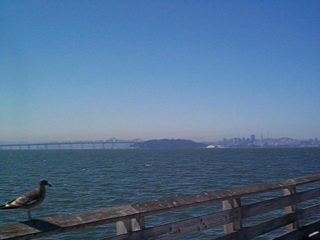 view images. [Berkeley Pier] [Berkeley Pier view]. Views of Berkeley from the hills on 