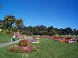 [Photo of Golden Gate Park]