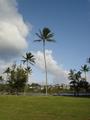 [Photo of Nāwiliwili Beach Park]