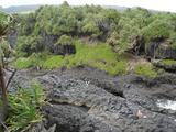 [Photo of the ʻOheʻo Gulch]