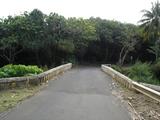 [Photo of the bridge over the ʻOheʻo Gulch]