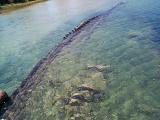 [Photo of a shipwreck in Big Tub Harbour]