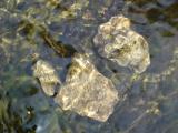 [Closeup photo of the creek that feeds Hilton Falls]