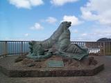 [Sea Lion Caves photo]