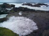 [Pacific rocks photo]