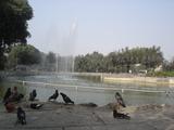 [Photo of Parque El Olivar]